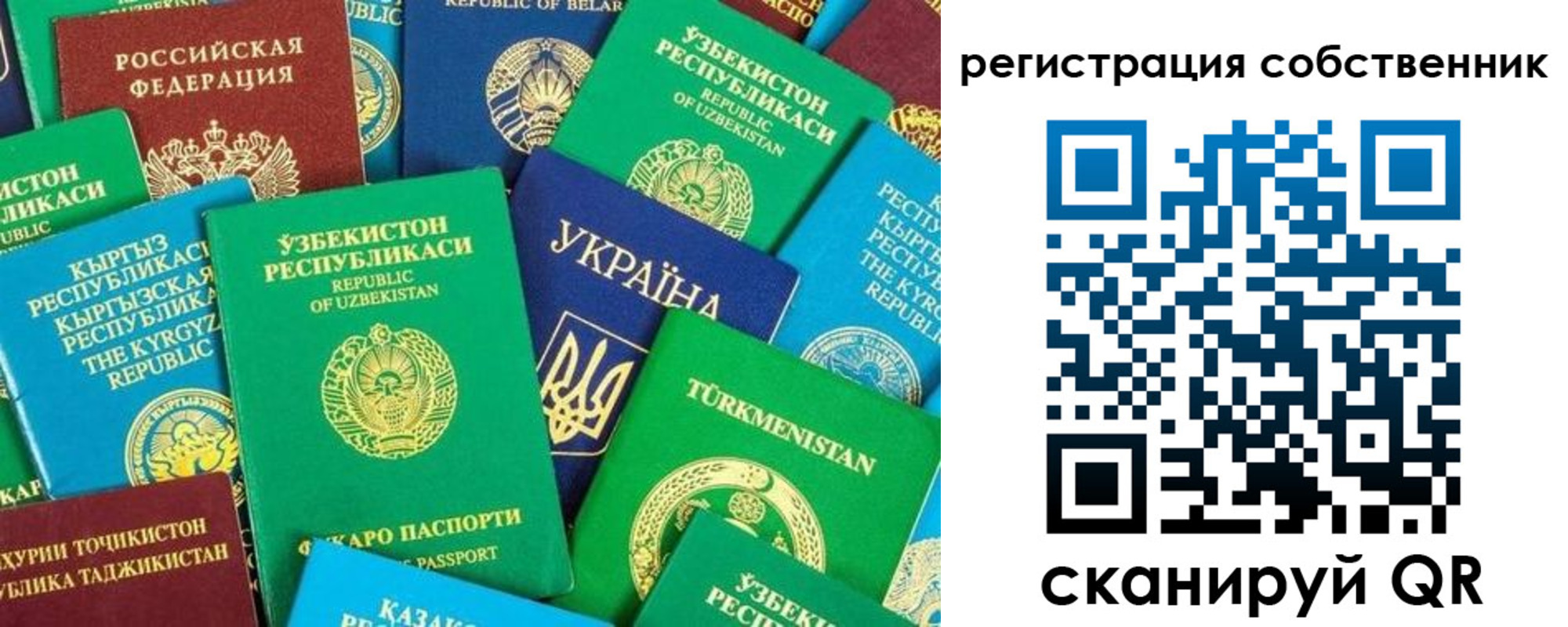 прописка в Благодарном